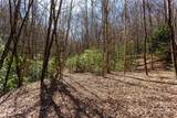 Lot 50 Bearwallow Ridge Trail - Photo 15