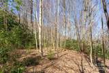 Lot 50 Bearwallow Ridge Trail - Photo 17