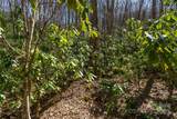 Lot 50 Bearwallow Ridge Trail - Photo 19