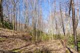 Lot 50 Bearwallow Ridge Trail - Photo 21