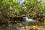 Lot 50 Bearwallow Ridge Trail - Photo 24