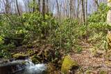 Lot 50 Bearwallow Ridge Trail - Photo 25