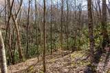 Lot 50 Bearwallow Ridge Trail - Photo 26