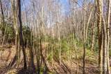 Lot 50 Bearwallow Ridge Trail - Photo 27