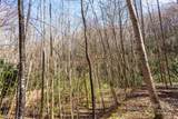 Lot 50 Bearwallow Ridge Trail - Photo 28