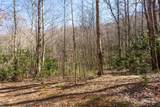 Lot 50 Bearwallow Ridge Trail - Photo 29