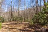 Lot 50 Bearwallow Ridge Trail - Photo 30