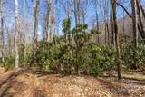 Lot 50 Bearwallow Ridge Trail - Photo 31
