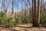 Lot 50 Bearwallow Ridge Trail - Photo 32