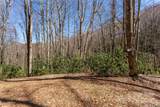 Lot 50 Bearwallow Ridge Trail - Photo 33