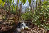 Lot 50 Bearwallow Ridge Trail - Photo 35