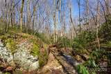 Lot 50 Bearwallow Ridge Trail - Photo 36