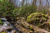 Lot 50 Bearwallow Ridge Trail - Photo 37