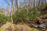 Lot 50 Bearwallow Ridge Trail - Photo 39