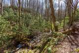 Lot 50 Bearwallow Ridge Trail - Photo 7