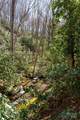 Lot 50 Bearwallow Ridge Trail - Photo 8