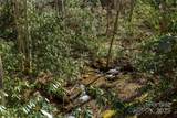 Lot 50 Bearwallow Ridge Trail - Photo 9