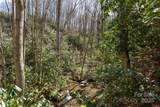 Lot 50 Bearwallow Ridge Trail - Photo 10