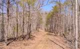 TBD Plum Tree Holler Drive - Photo 6