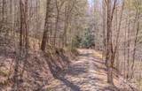 TBD Plum Tree Holler Drive - Photo 8