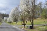 63 Ivy Meadows Drive - Photo 2