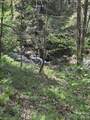 324 Marble Mine Road - Photo 44