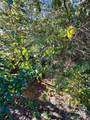368 Chestnut Street - Photo 2