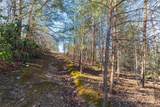 Lot 3 Summer Road - Photo 8