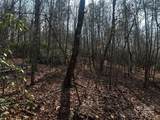 0000 Grassy Knob Road - Photo 17