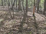 Lot 172 West Lake Drive - Photo 2