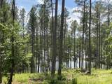 000 Scenic Lane - Photo 6