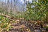 165 Pine Moss Trail - Photo 33