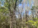0 Bee Tree Road - Photo 1