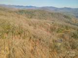 0 Shining Rock Path - Photo 14