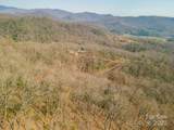 0 Shining Rock Path - Photo 15