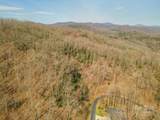 0 Shining Rock Path - Photo 24