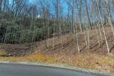 0 Shining Rock Path - Photo 5