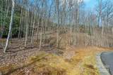 0 Shining Rock Path - Photo 6