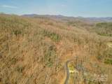 0 Shining Rock Path - Photo 10