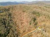 0 Shining Rock Path - Photo 17