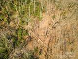 0 Shining Rock Path - Photo 18