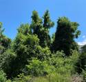 7 Shakedown Street - Photo 7