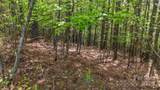 103 Shortoff Trail - Photo 11