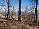 1.1 Acre Blockaders Den Road - Photo 21