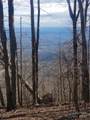 1.1 Acre Blockaders Den Road - Photo 24