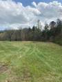 0 Cane Creek Mountain Road - Photo 10