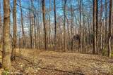 1099 Mitchell View Drive - Photo 9