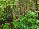 0 Patchwork Drive - Photo 2