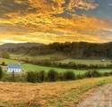 411 Big Sandy Mush Road - Photo 18