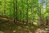 411 Big Sandy Mush Road - Photo 7